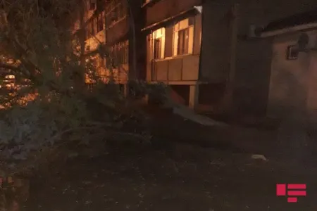 Mingəçevirdə külək fəsadlara - YOL AÇDI - FOTO