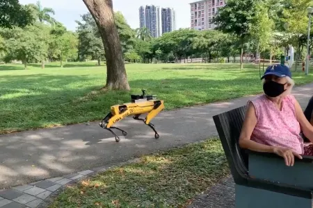 Sosial məsafənin saxlanılmasına robotlar - NƏZARƏT EDƏCƏK - FOTOLAR
