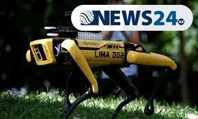 Sosial məsafənin saxlanılmasına robotlar - NƏZARƏT EDƏCƏK - FOTOLAR