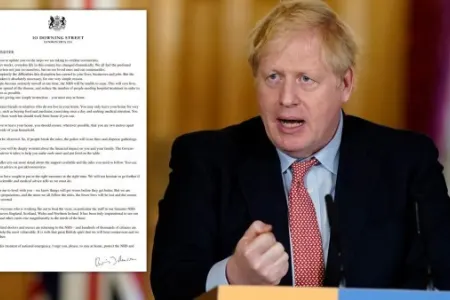 Boris Consonun koronavirusla bağlı məktubları - SATIŞA ÇIXARILDI
