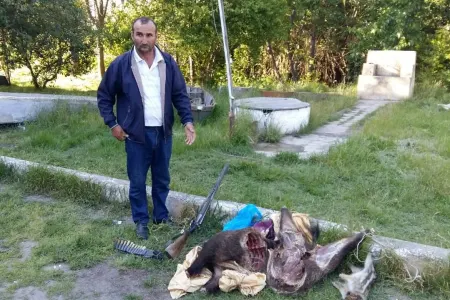 Milli parkda çöl donuzu ovlayan şəxs - TUTULDU