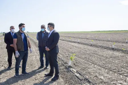 Nazir Xaçmaz və Qubada əkin sahələrinə - BAXIŞ KEÇİRDİ - FOTO