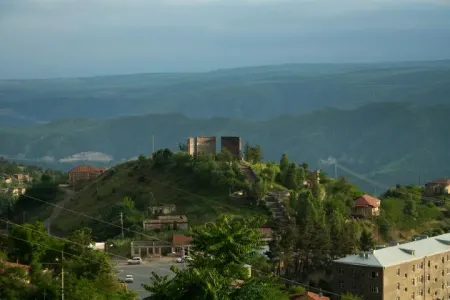 Laçının peykdən təsviri - FOTO