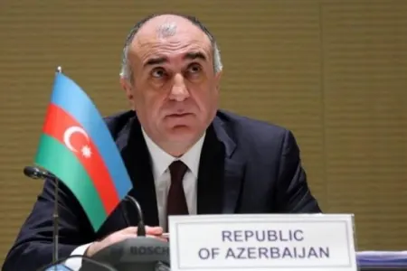 Məmmədyarov həmsədrlərlə - VİDEOKONFRANS KEÇİRDİ