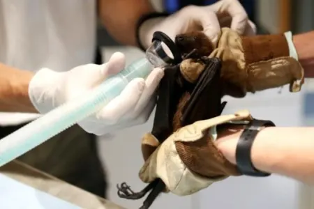 ŞOK! Dünyaya 1500 növdə koronavirus - YAYILA BİLƏR