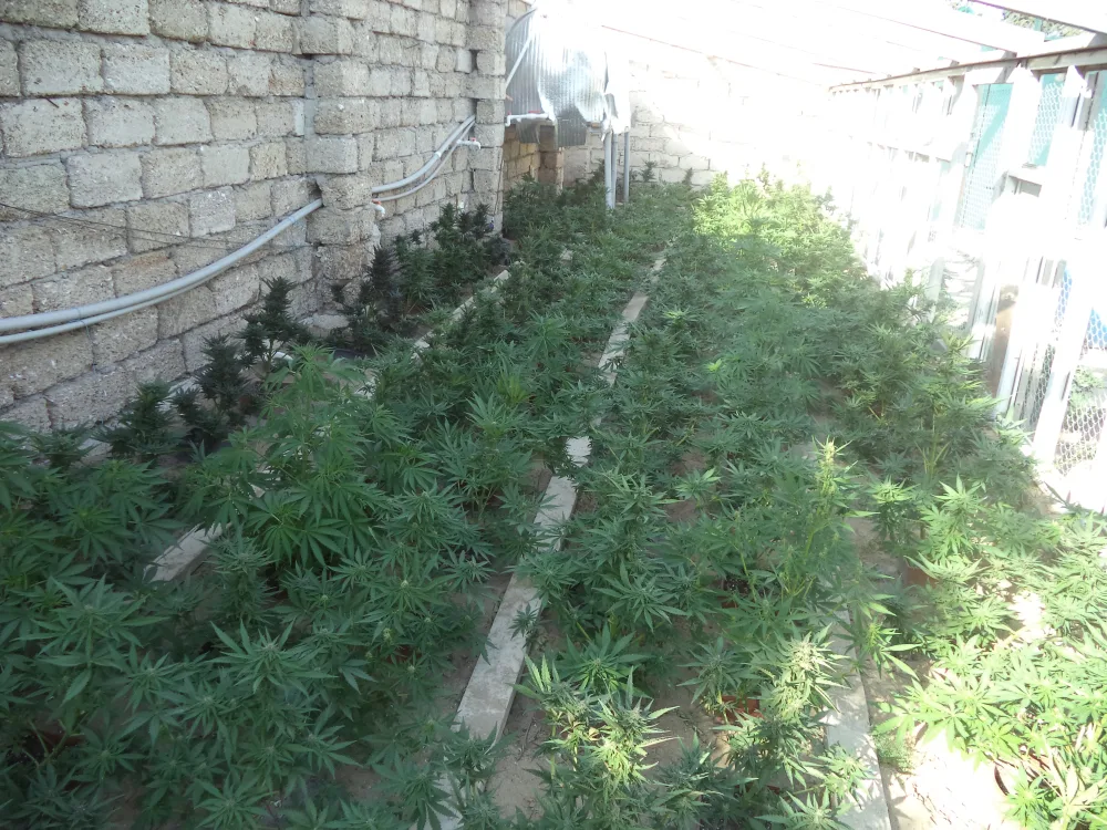 Bakıda Rusiya vətəndaşı olan silahlı NARKOTACİR - ƏLƏ KEÇDİ - FOTO