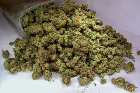 Sabirabad sakinindən 4 kq-a yaxın narkotik - GÖTÜRÜLDÜ