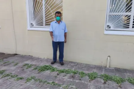 Astarada çətənə əkən şəxs - TUTULDU