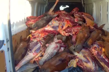 At ətini mal əti adı ilə SATDILAR - ŞOK VİDEO