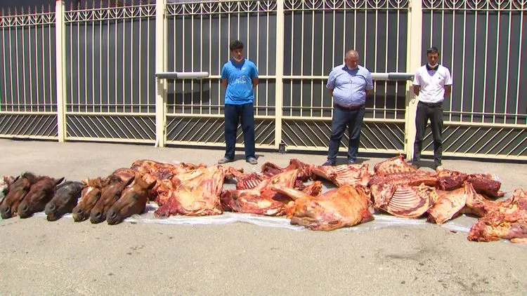 At ətini mal əti adı ilə SATDILAR - ŞOK VİDEO