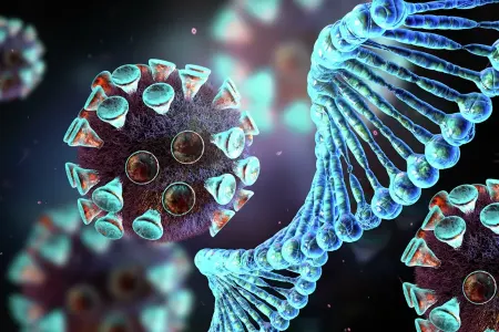 Koronavirus dondurulmuş qidalarda - 3 AY YAŞAYIR
