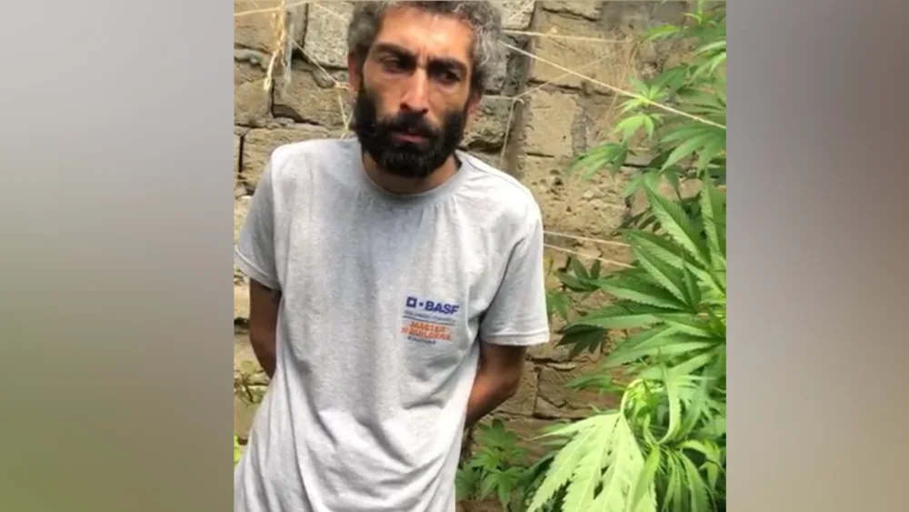 Yeni Suraxanıda narkotik bitkilər əkib-becərən şəxs saxlanıldı - FOTO