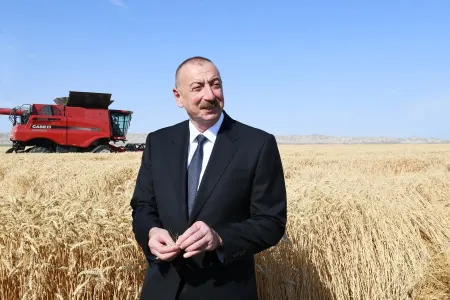 Prezident İlham Əliyev - TARLADA - VİDEO