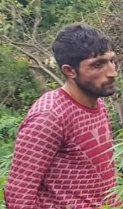 İsmayıllıda meşədə narkotik plantasiyası salan şəxslər saxlanıldı - FOTO