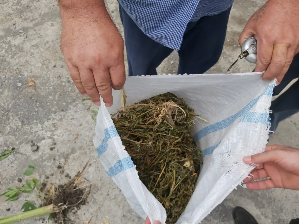 Göyçayda narkotik vasitələrin qanunsuz dövriyyəsi ilə məşğul olan şəxs saxlanıldı