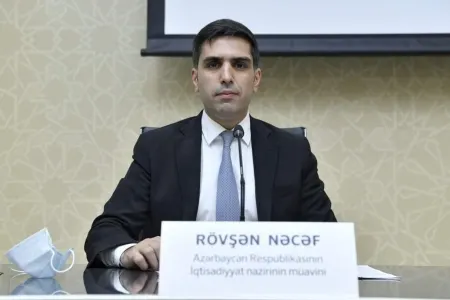 "Ard-arda qərarlar gözlənilir" - Nazir müavini