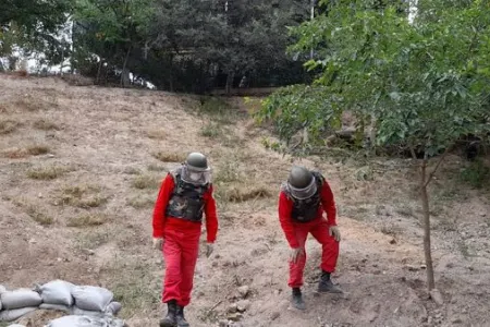 Tovuzun Ağdam kəndində həyətyanı sahədə top mərmisinin hissəsi - aşkarlandı - FOTO
