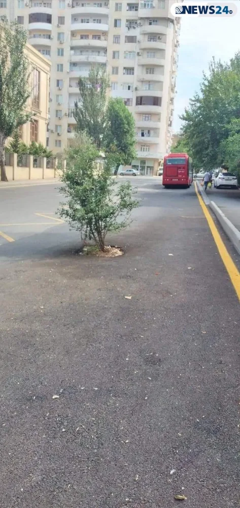 Bakıda növbəti unikal görüntülər - FOTO