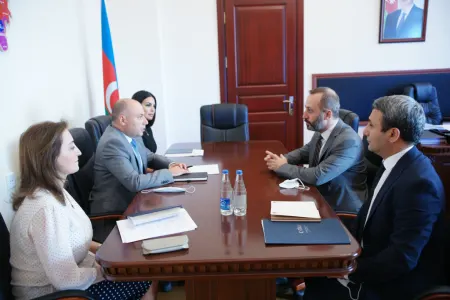 Anar Kərimov Türk Əməkdaşlıq və Koordinasiya Agentliyinin nümayəndəsi ilə - GÖRÜŞDÜ