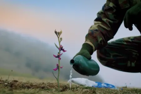 Mədəniyyət Nazirliyi "Xarı bülbül" adlı videoçarx hazırlayıb