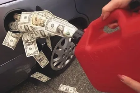 Tarif Şurasının - "EKOLOGİYA SEVGİSİ" - ŞƏRH