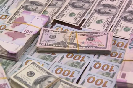 Bakıda dolları rəsmi məzənnədən yuxarı satan - şəxs tutuldu - VİDEO