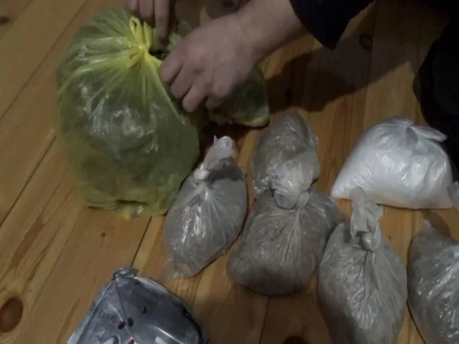 16 kq-dan artıq narkotik dövriyyədən çıxarıldı - VİDEO