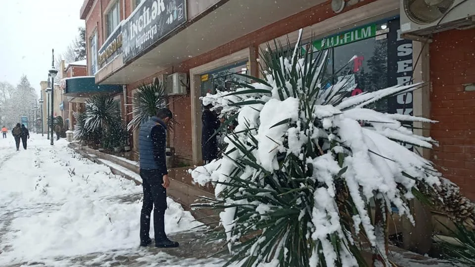 Tovuz rayonu ağ örpəyə büründü - FOTO