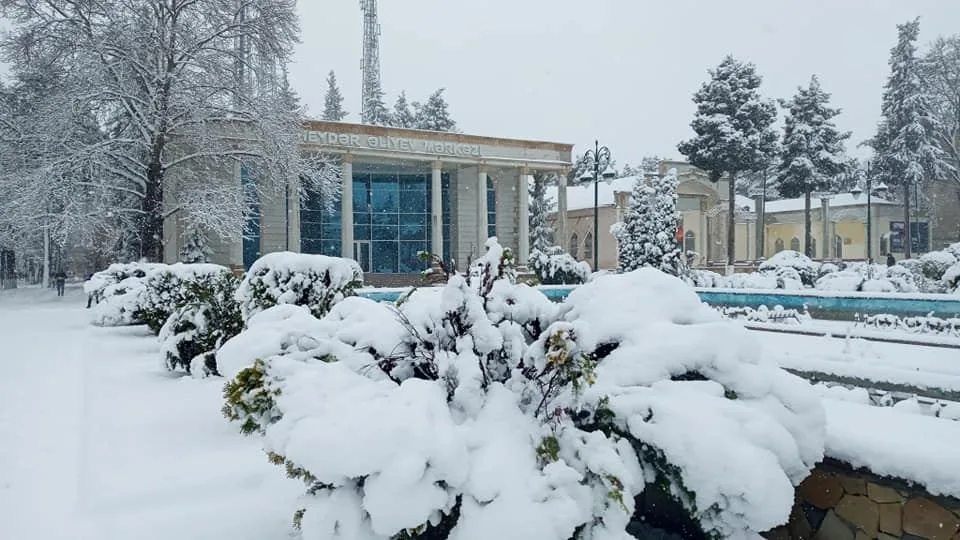 Tovuz rayonu ağ örpəyə büründü - FOTO