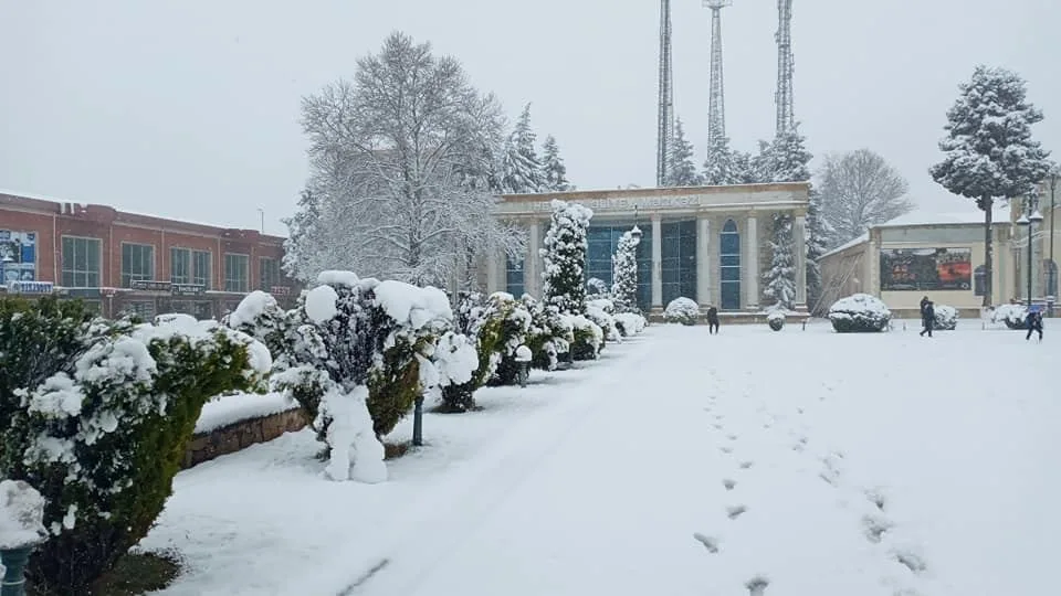 Tovuz rayonu ağ örpəyə büründü - FOTO