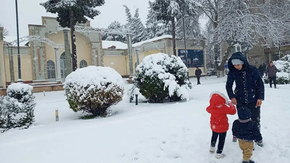 Tovuz rayonu ağ örpəyə büründü - FOTO