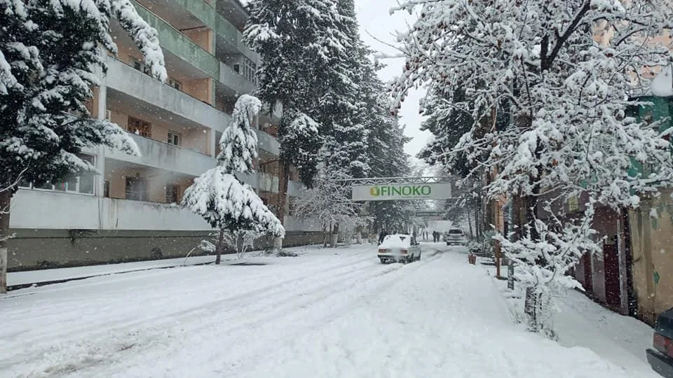 Tovuz rayonu ağ örpəyə büründü - FOTO