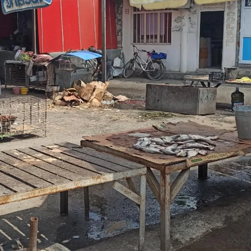 Yevlax bazarında nöqsanlar aşkarlandı