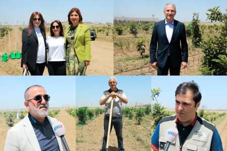 "Yaşıl qələm"in bəhrəsi - MEDİATUR