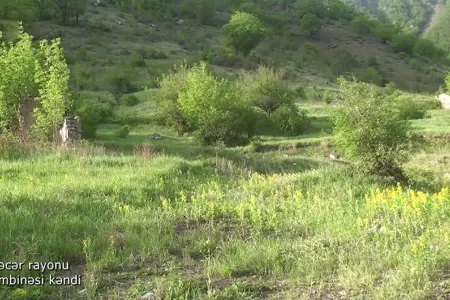 Kəlbəcərin Qasımbinəsi kəndindən görüntülər
