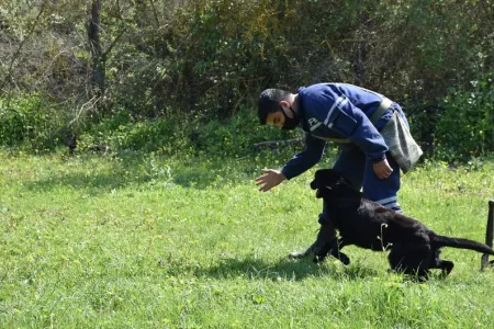 Türkiyə Milli Müdafiə Nazirliyi FHN-ə minaaxtaran itlər hədiyyə edib - Video