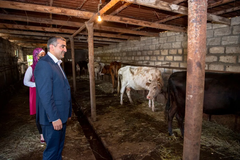 AFAQ layihəsi şərçivəsində İmişli rayonunda qadın fermerlərə dəstək göstərildi