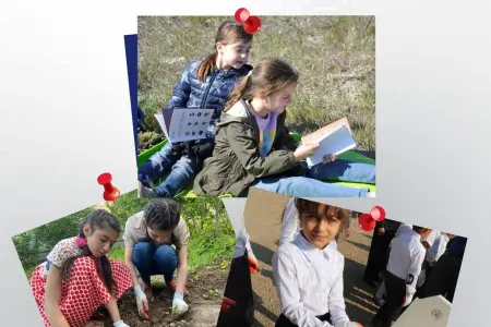 Milli parklarda "açıq qapı" günü - KEÇİRİLƏCƏK - FOTO
