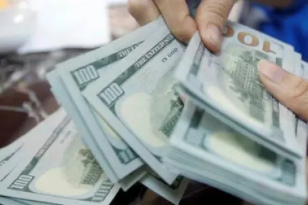 Neft Fondu iyunda valyuta satışını kəskin artırıb
