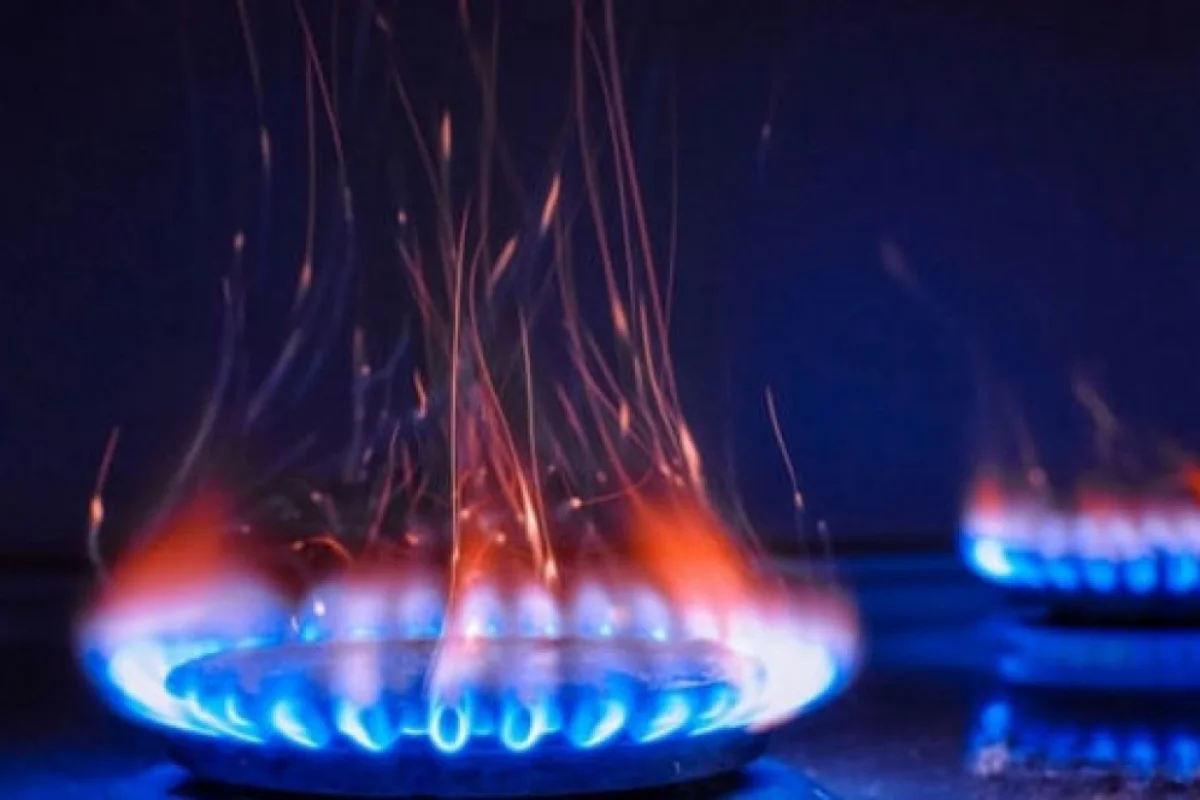 Qazın qiyməti qalxdı