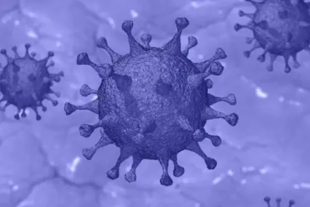 Bu ölkə koronavirus mutasiyalarının mərkəzinə çevrilə bilər