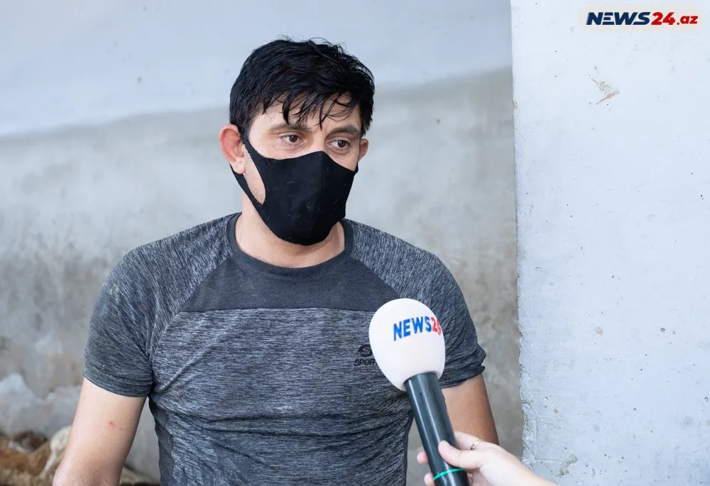 Qurbanlıq heyvanlar neçəyə satılır? - FOTOLAR