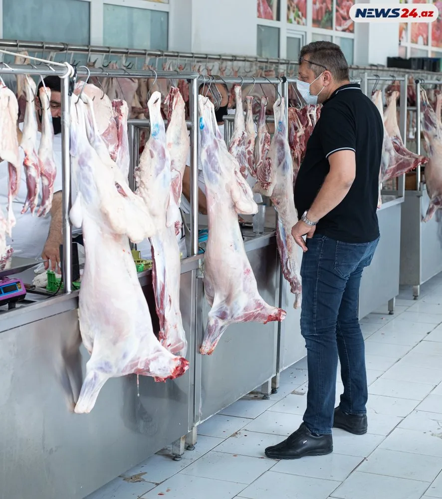 Qurbanlıq heyvanlar neçəyə satılır? - FOTOLAR