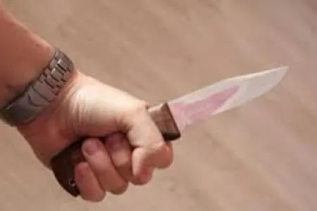 Prokurorluq Daşkəsəndə toyda baş verən qətllə bağlı rəsmi məlumat yaydı