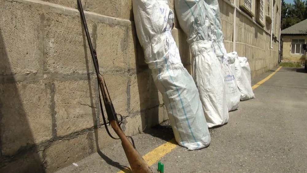 İmişlidə narkotik becərən şəxs atəş açaraq qaçmağa cəhd göstərib