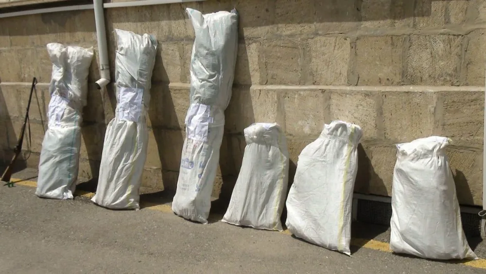 İmişlidə narkotik becərən şəxs atəş açaraq qaçmağa cəhd göstərib