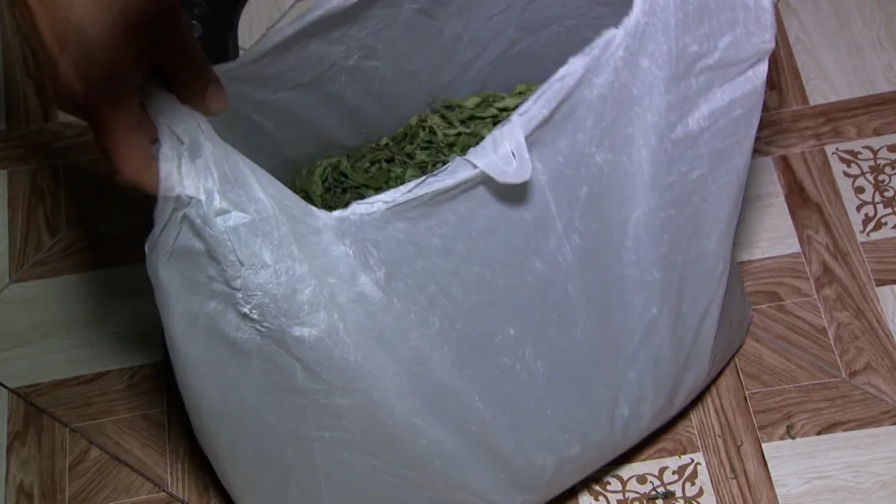 Hökməli və Aşağı Güzdəkdə əməliyyat: saxlanılanlar var - Fotolar/Video