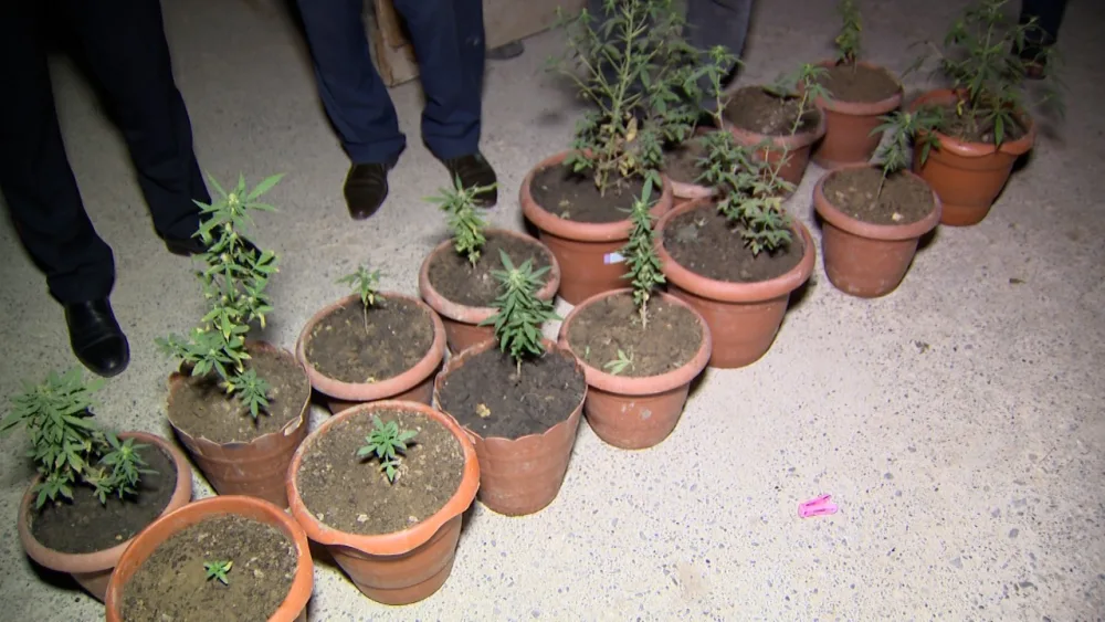 Hökməli və Aşağı Güzdəkdə əməliyyat: saxlanılanlar var - Fotolar/Video