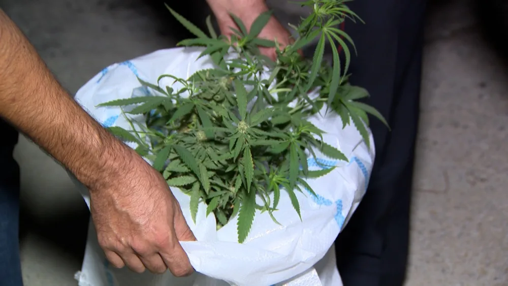 Hökməli və Aşağı Güzdəkdə əməliyyat: saxlanılanlar var - Fotolar/Video