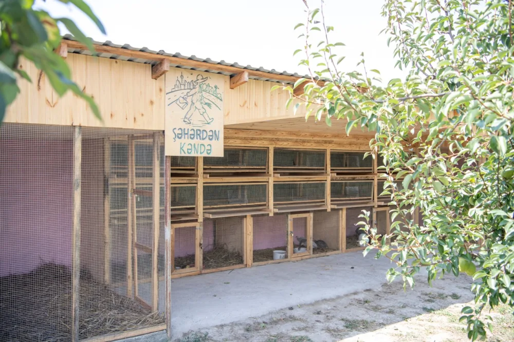 “Şəhərdən Kəndə” layihəsi çərçivəsində dəstək tədbirləri davam edir - Fotolar